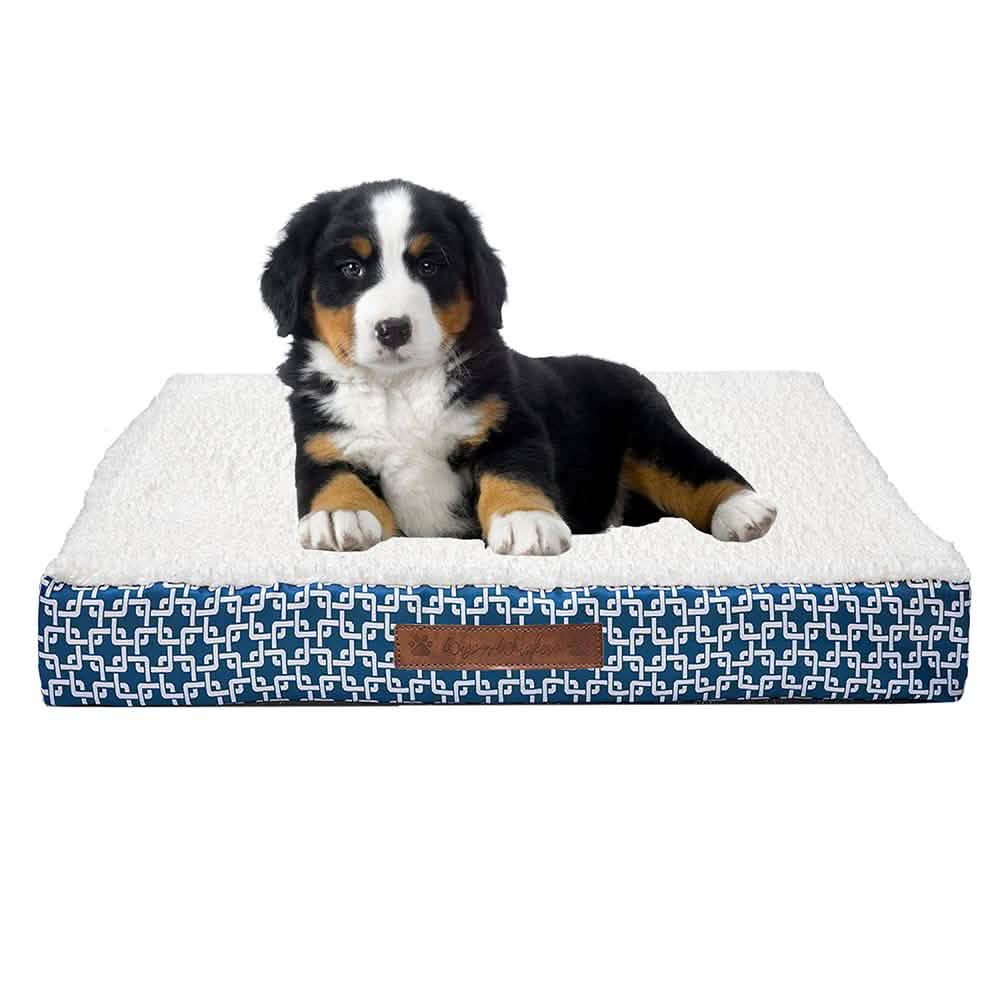 Wags & Whiskers Memory Foam Pet Bed - Assorted Styles