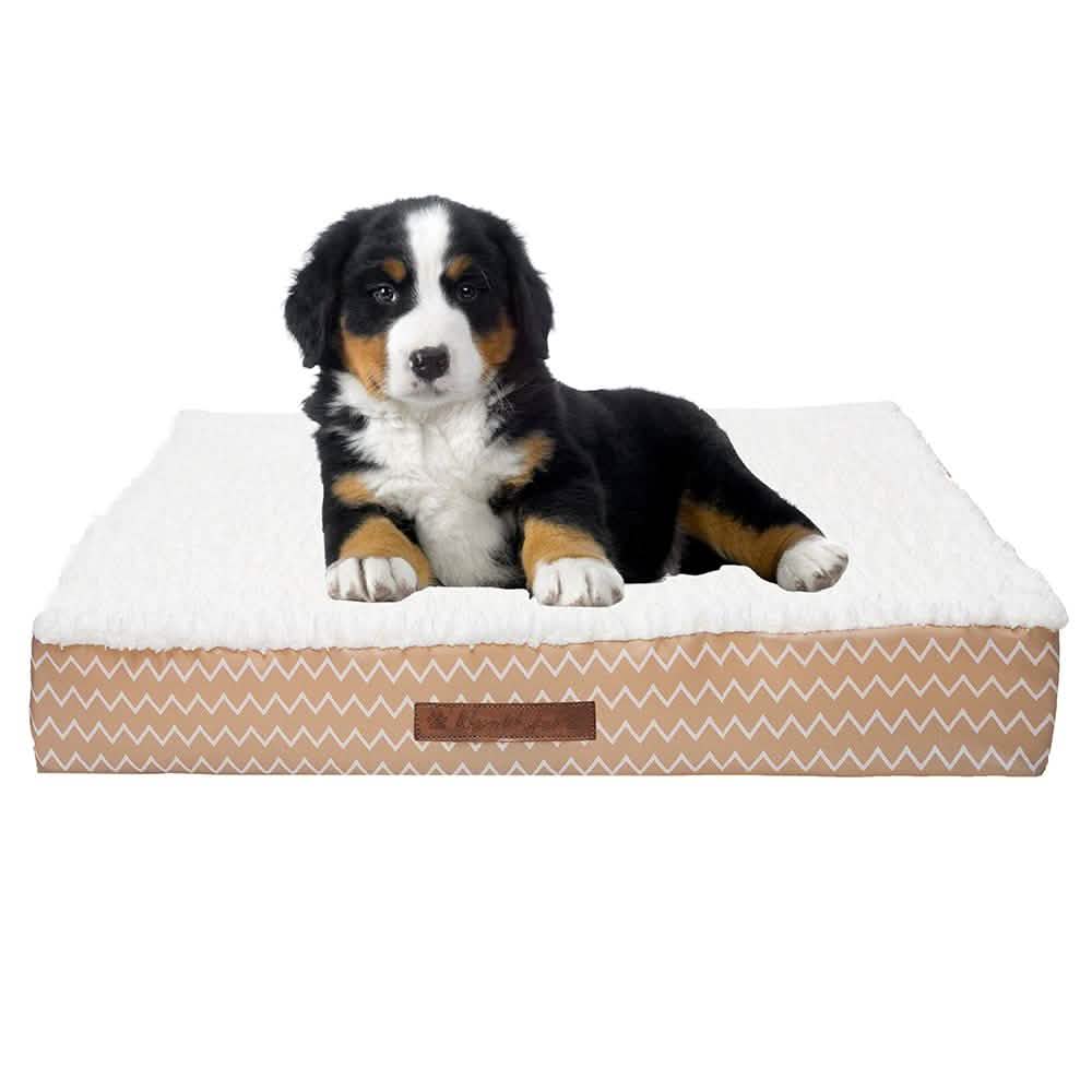 Wags & Whiskers Memory Foam Pet Bed - Assorted Styles