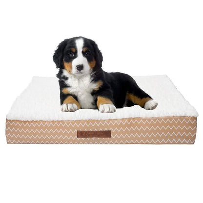 Wags & Whiskers Memory Foam Pet Bed - Assorted Styles
