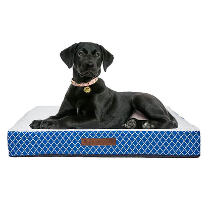 Wags & Whiskers Memory Foam Pet Bed - Assorted Styles