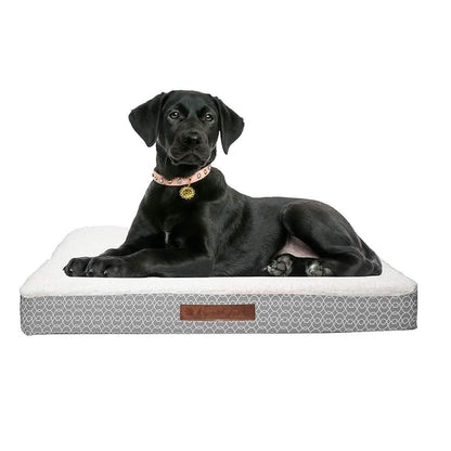 Wags & Whiskers Memory Foam Pet Bed - Assorted Styles