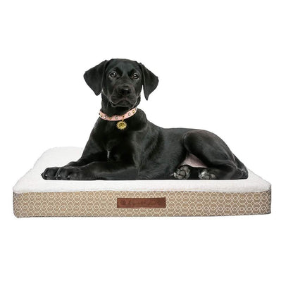 Wags & Whiskers Memory Foam Pet Bed - Assorted Styles