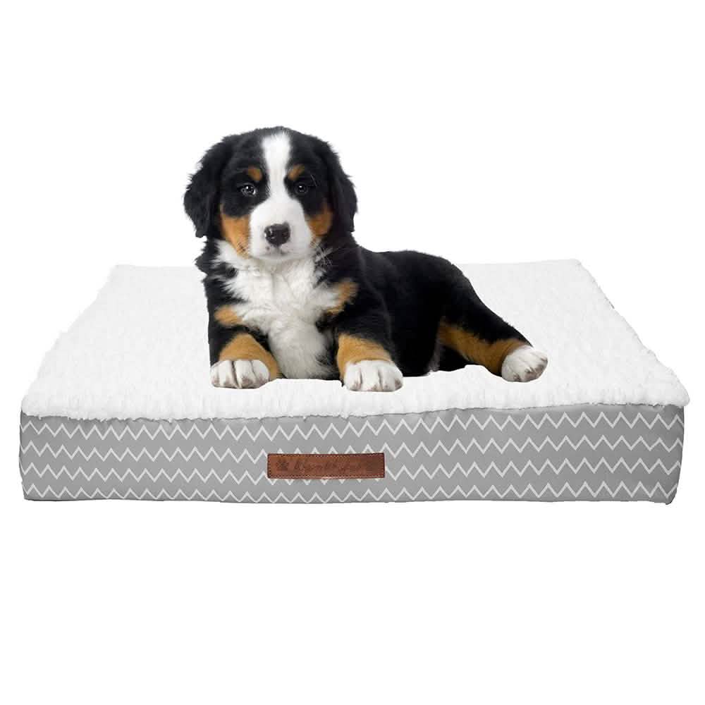 Wags & Whiskers Memory Foam Pet Bed - Assorted Styles