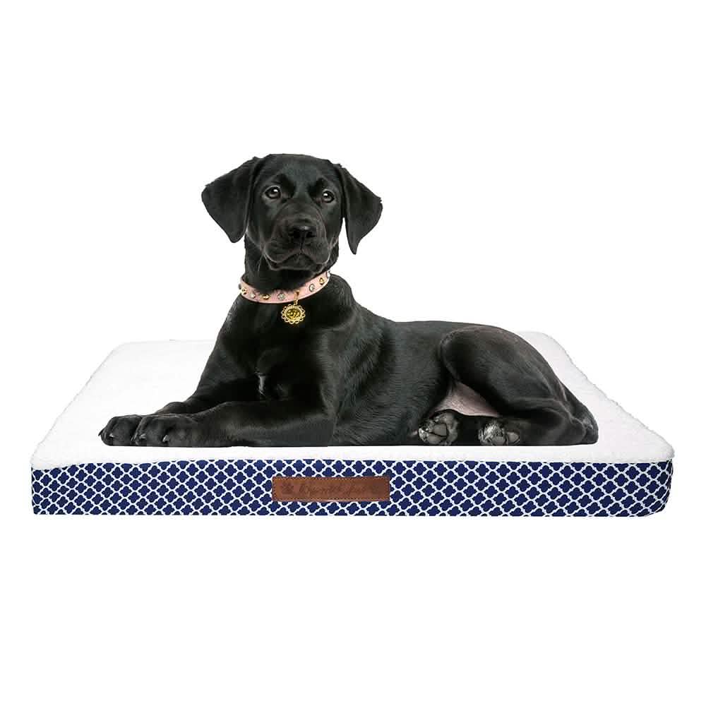 Wags & Whiskers Memory Foam Pet Bed - Assorted Styles