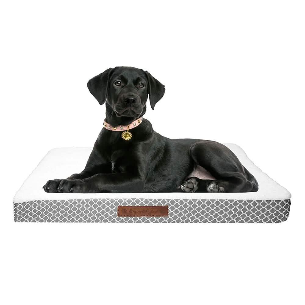 Wags & Whiskers Memory Foam Pet Bed - Assorted Styles