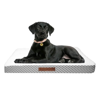 Wags & Whiskers Memory Foam Pet Bed - Assorted Styles