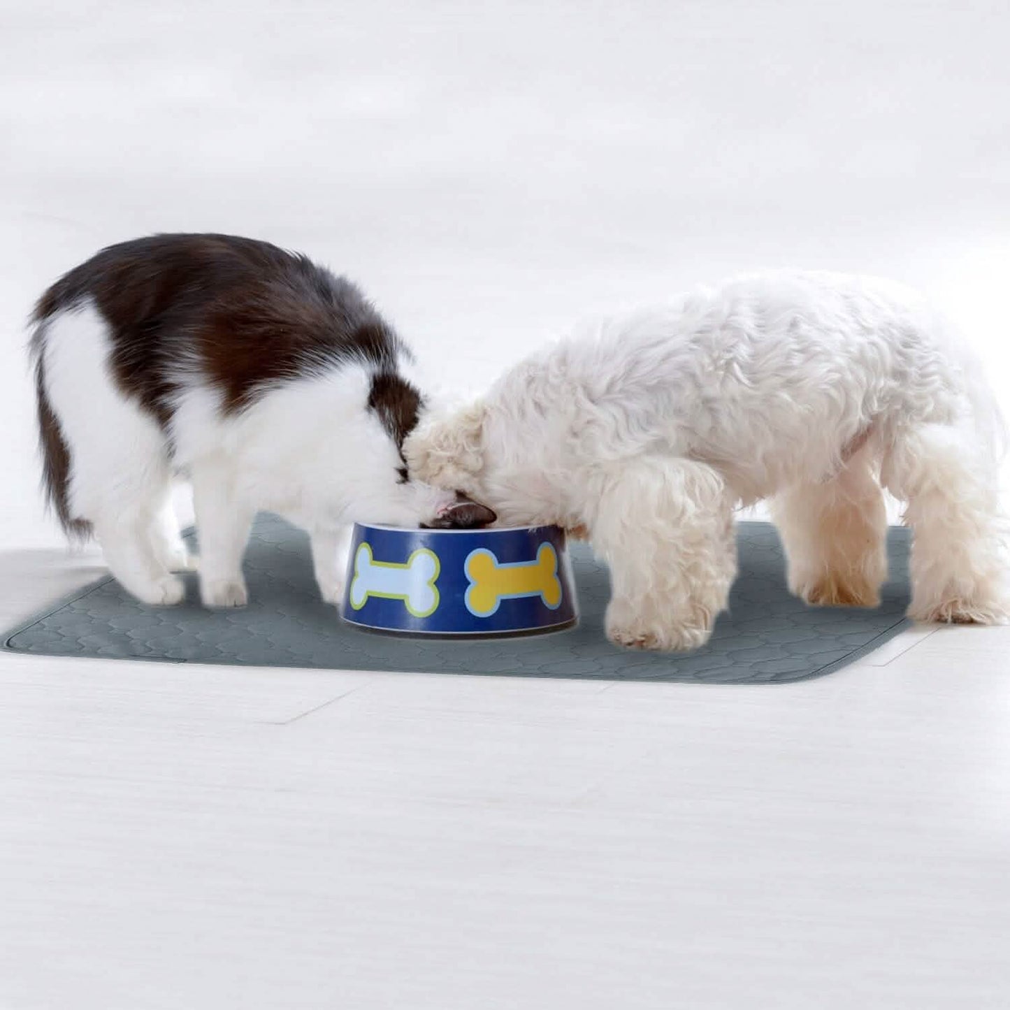 Washable Dog Pee Pad Reusable Puppy Potty Training Pads