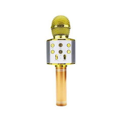 Wireless Bluetooth Karaoke Microphone