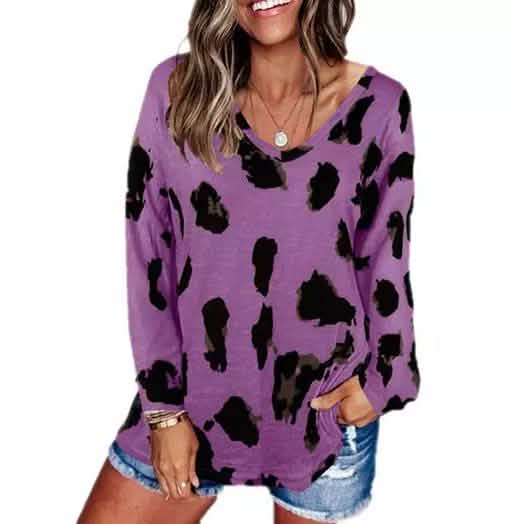 Women's V-Neck Leopard Print Inspired Top