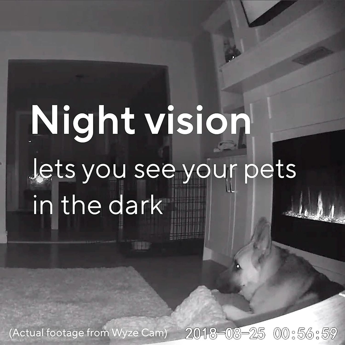 Wyze Cam V2 (Refurbished)